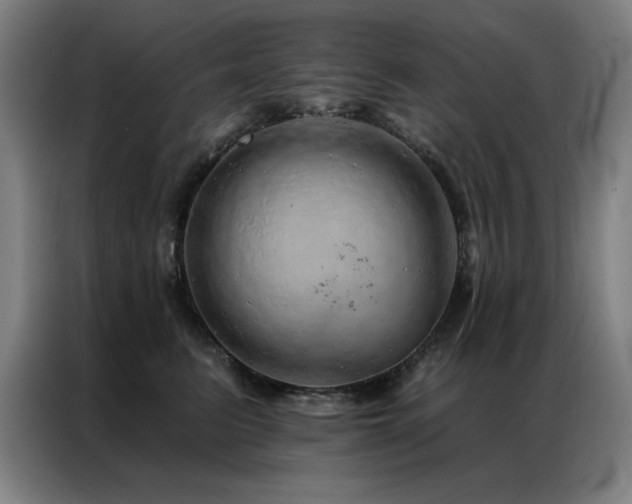 X0000087380615200704201246