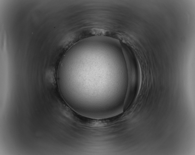 X0000087380616200704201246