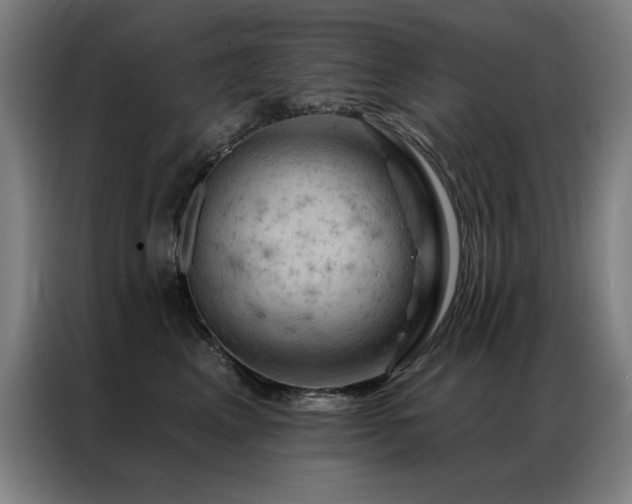 X0000087380617200704201246