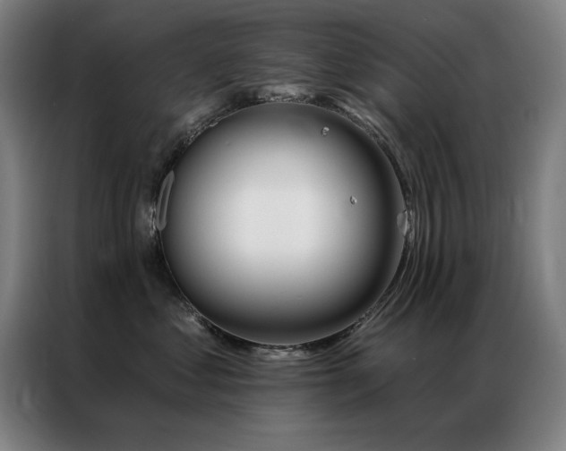 X0000087380621200704201246