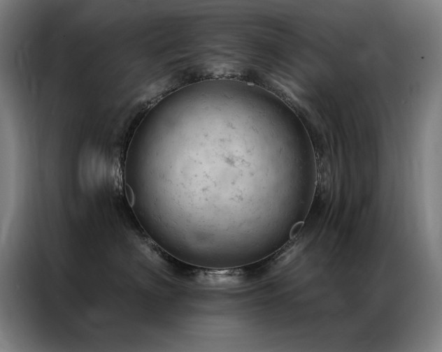 X0000087380622200704201246