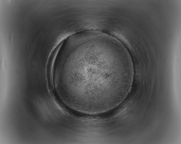 X0000087380626200704201246