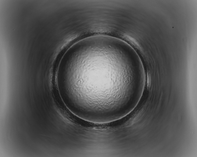 X0000087380627200704201246