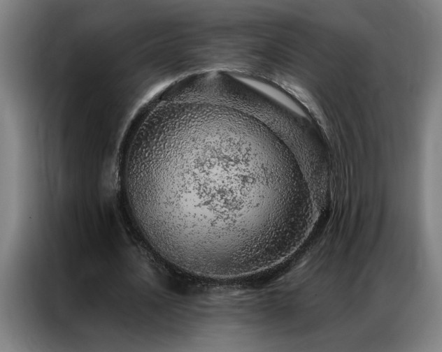 X0000087380628200704201246