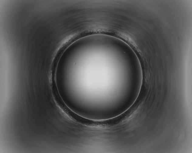 X0000087380629200704201246