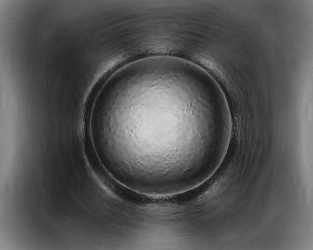 X0000087380630200704201246