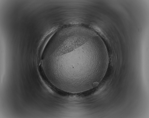 X0000087380634200704201246
