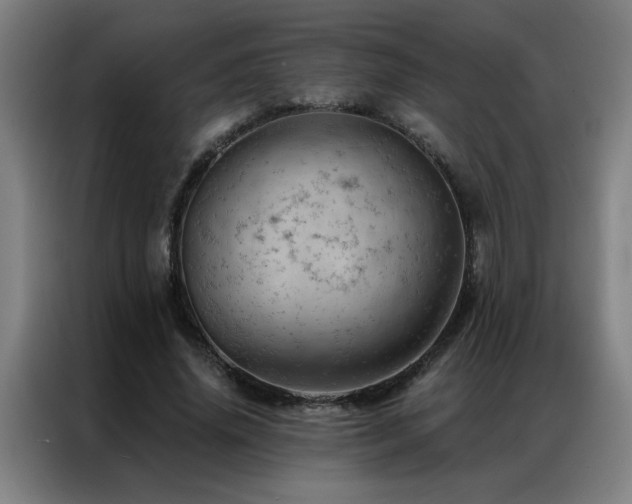 X0000087380636200704201246