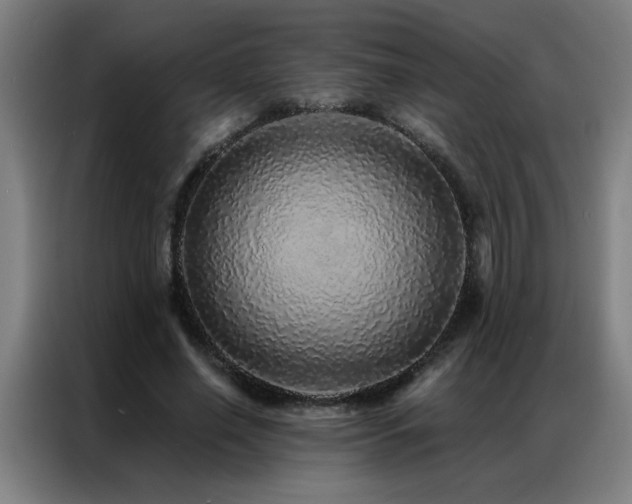 X0000087380638200704201246