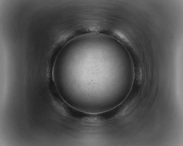 X0000087380639200704201246
