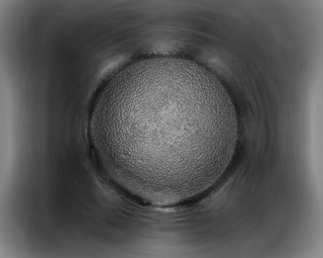 X0000087380640200704201246