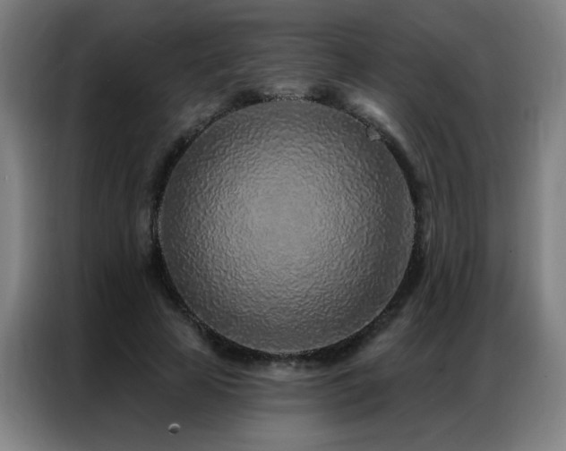 X0000087380641200704201246