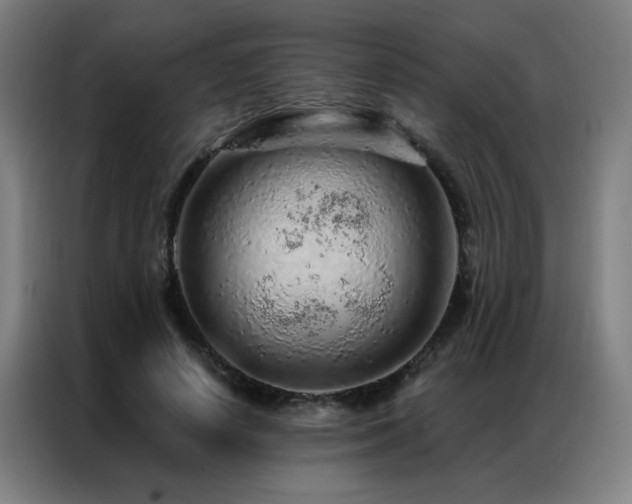 X0000087380642200704201246