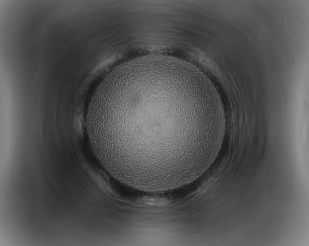 X0000087380644200704201246