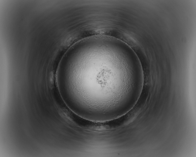 X0000087380646200704201246