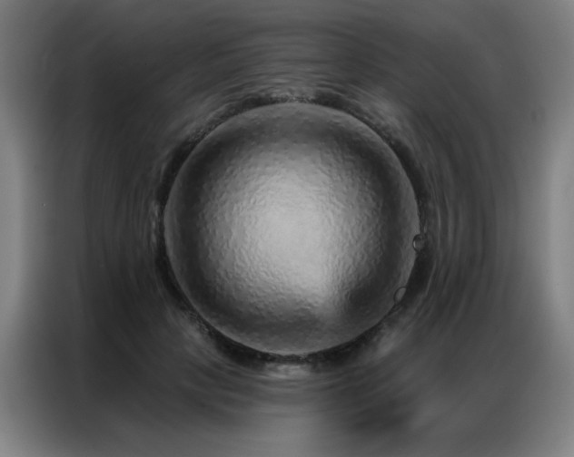 X0000087380649200704201246