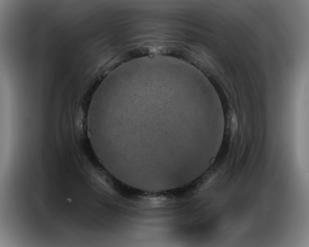 X0000087380650200704201246
