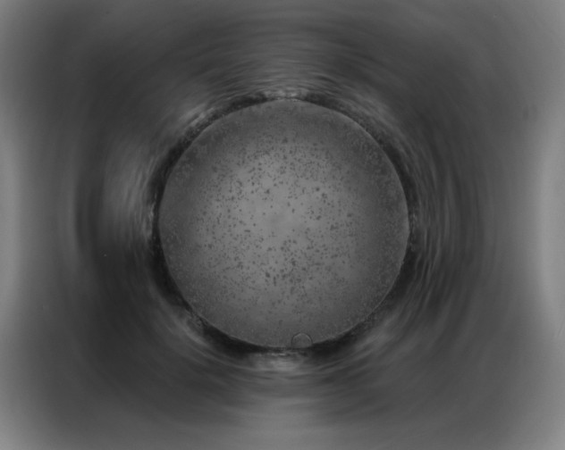 X0000087380652200704201246