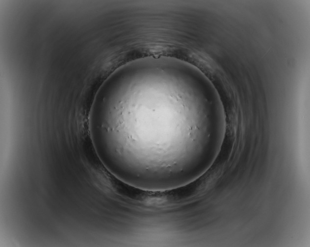 X0000087380653200704201246