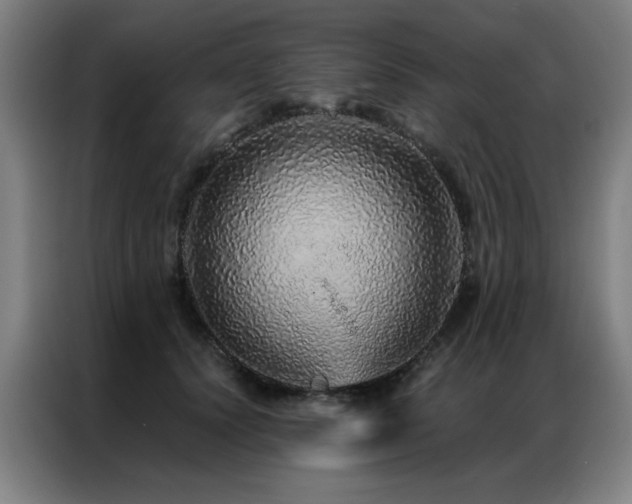 X0000087380656200704201246