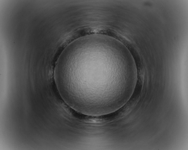 X0000087380657200704201246