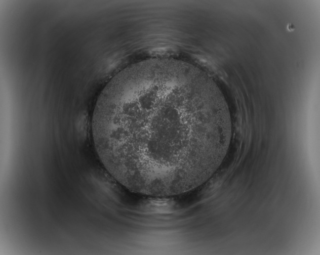 X0000087380659200704201246