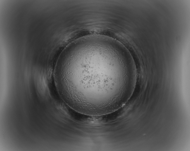 X0000087380660200704201246