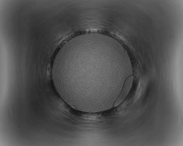X0000087380661200704201246