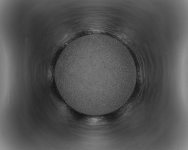 X0000087380662200704201246