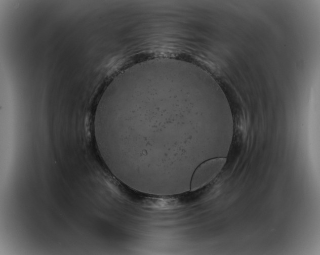 X0000087380663200704201246