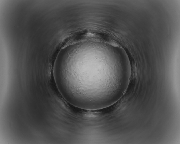 X0000087380664200704201246