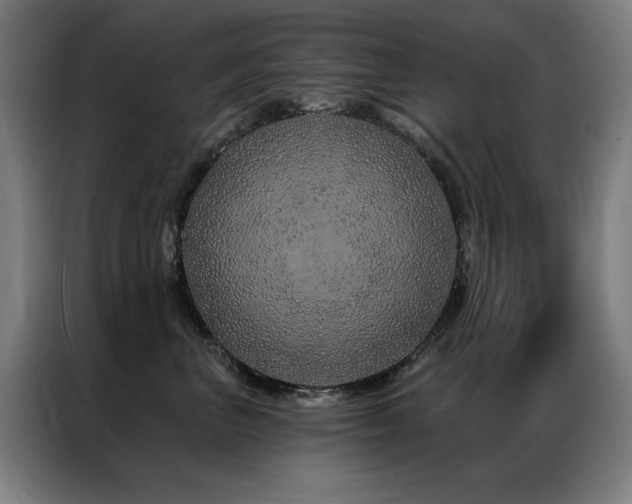 X0000087380667200704201246