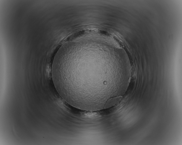 X0000087380669200704201246