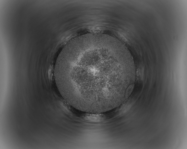 X0000087380671200704201246