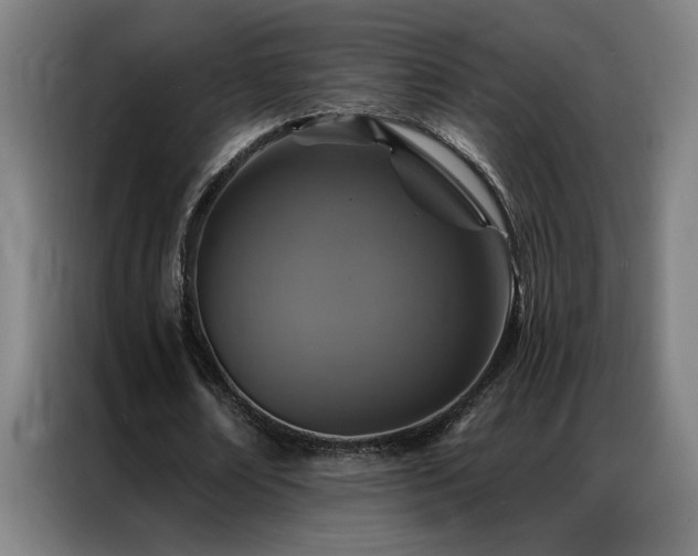 X0000087380674200704201246