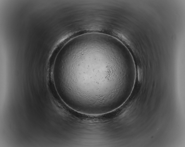 X0000087380675200704201246