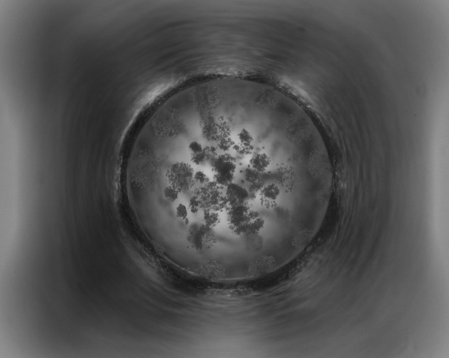 X0000087380679200704201246