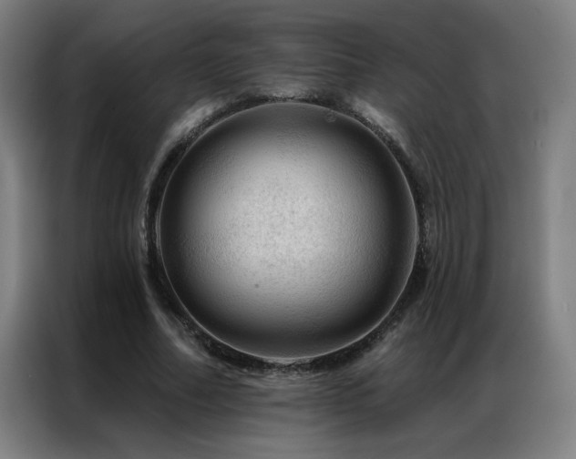 X0000087380682200704201246