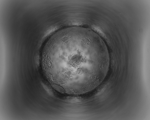 X0000087380683200704201246