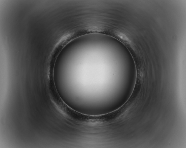 X0000087380686200704201246