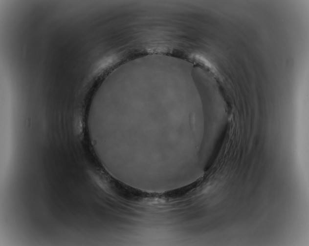 X0000087380687200704201246