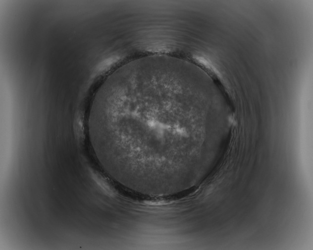 X0000087380688200704201246