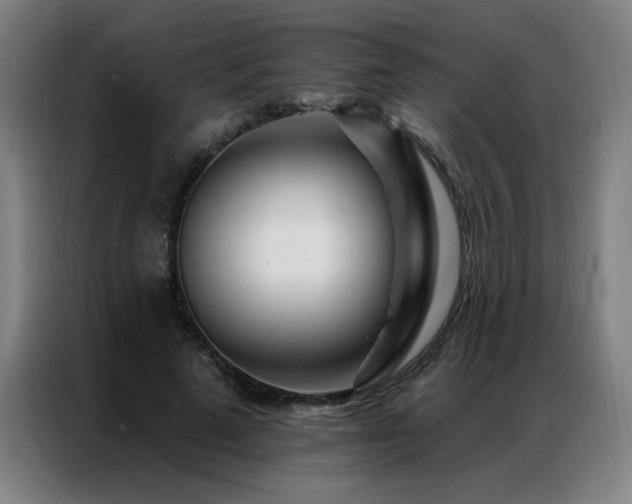 X0000087380689200704201246