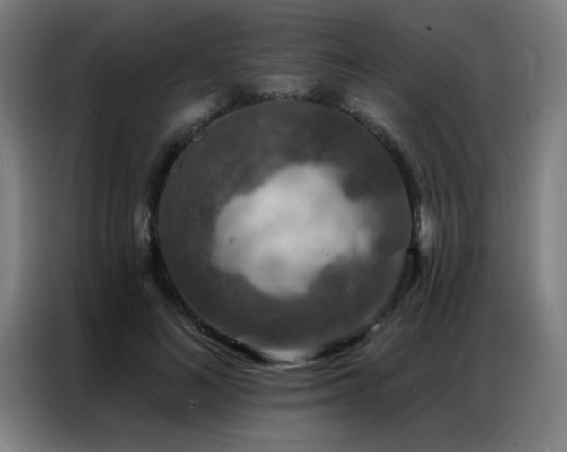 X0000087380692200704201246