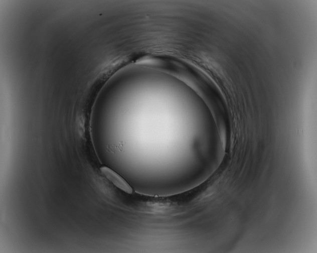 X0000087380693200704201246