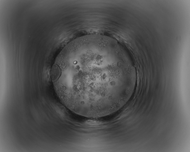X0000087380699200704201245