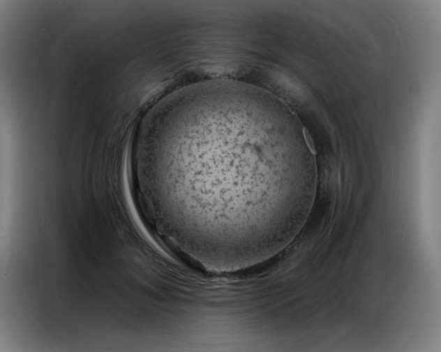 X0000087380700200704201245