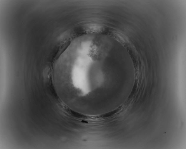 X0000087380701200704201245