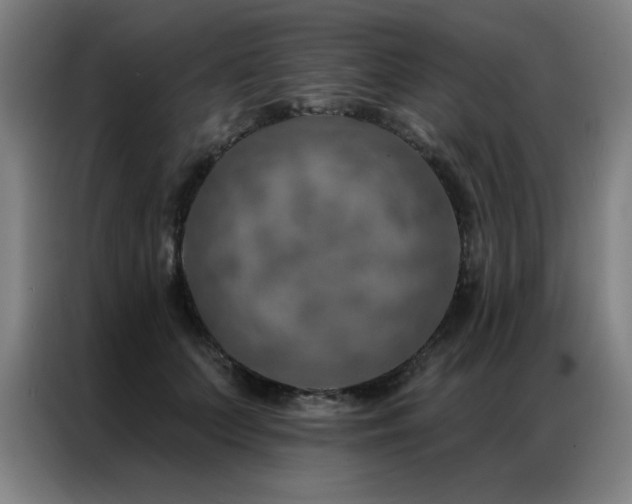 X0000087380703200704201245