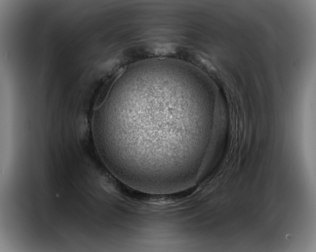 X0000087380704200704201245